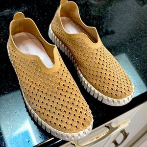 Ilse Jacobsen lofters TAN